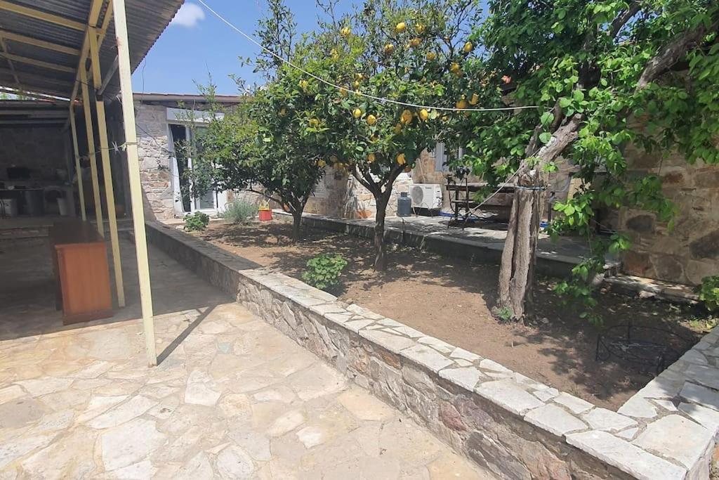 شقة Confortable House In Nature Fofola المظهر الخارجي الصورة